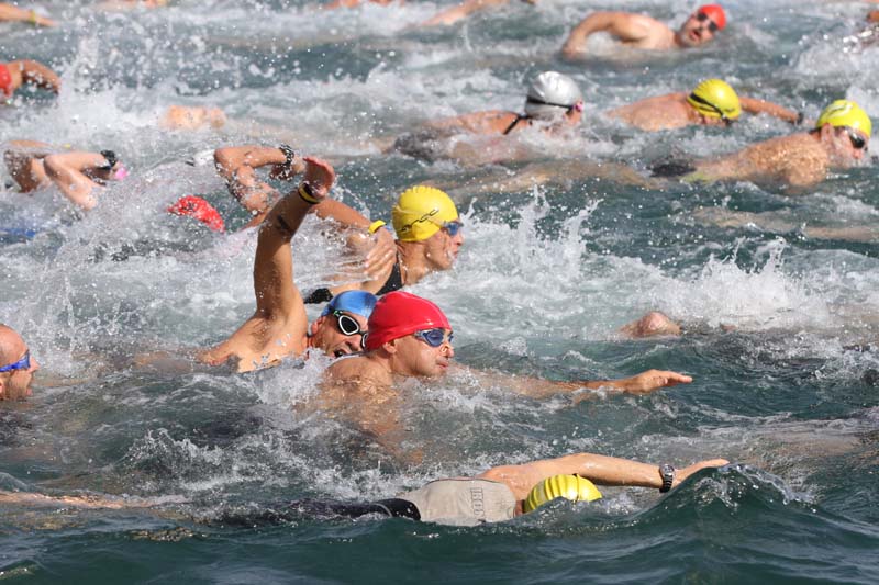 Valletta Grand Harbour provides perfect backdrop for Open Water Swimming Championships' Curtain Raiser