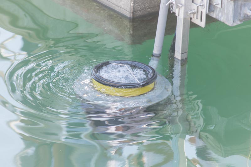 Strand Marine and eNGO Żibel partner up to launch the Seabin Project