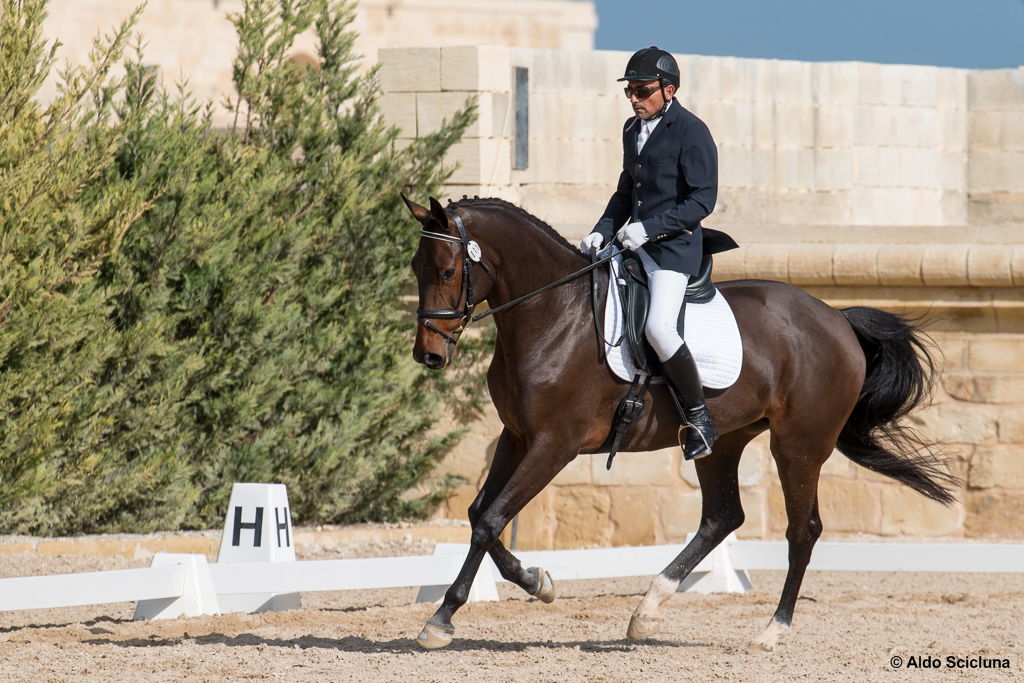 International Equestrian Event - World Dressage Challenge hosted in Malta